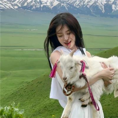 律政英雄特别版